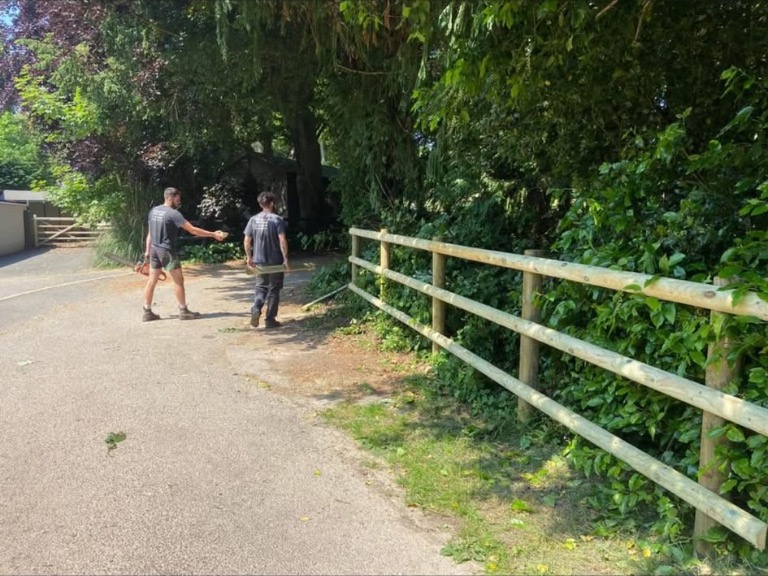 Round timber post and rail fencing along a tree-lined driveway